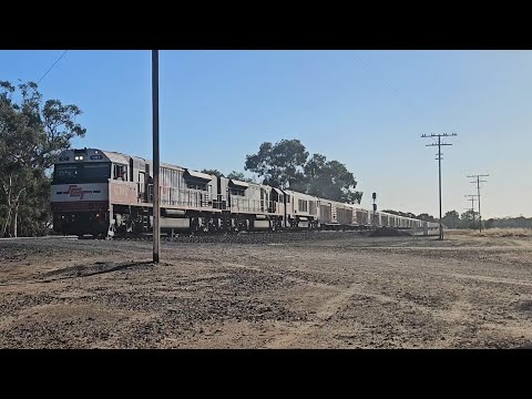 6AM9 SCT up "Dark Ghost" (SCT002 SCT014 CSR004), Forrestfield to Laverton, 1515, 9/5/25 Dimboola VIC