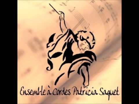 Ensemble à Cordes Patricia Saquet. Haydn, Symphonie N°93, mvt 4