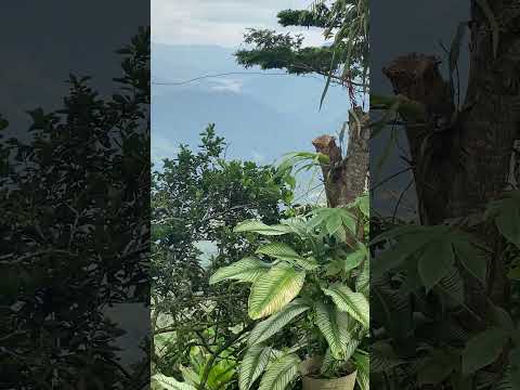 Vista Porce II desde Guadalupe Antioquia