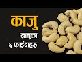काजु खानुका ६ फाईदाहरु || 6 BENEFIT OF CASHEW NUTS || NEPALI HEALTH TIPS