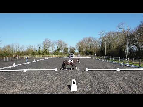 BD Intro A - 70.65% - Our Debut! - First Ever Dressage Test (for horse & rider) - HDRC Dressage