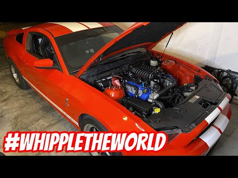 MASSIVE Whipple 3.8L Supercharger is on my GT500!