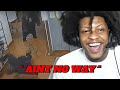 RegtooFunny Reacts To Wild Animals Invading People S Homes