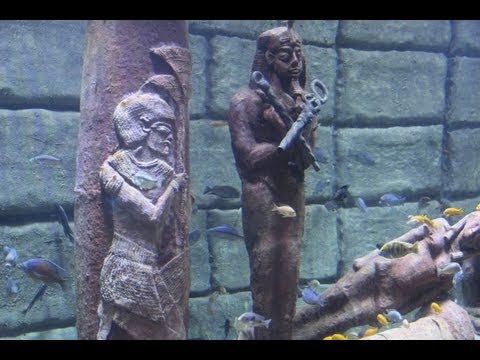 New Antalya Aquarium - Turkey Новый Анталийский аквариум - Турция