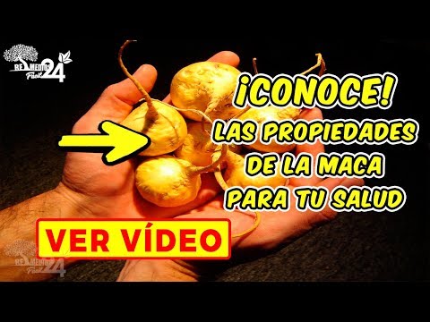 Come riconoscere un pene piccolo Tintura per la potenza del Aloe