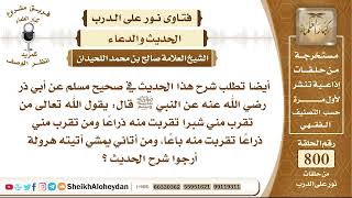 صورة 9829 - معنى الحديث عن أبي ذر  رضي الله عنه عن النبي ﷺ قال يقول الله تعالى من  تقرب مني شبرا تقربت