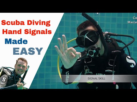 Scuba Diving Hand Signals 👌 How Divers Communicate Underwater!