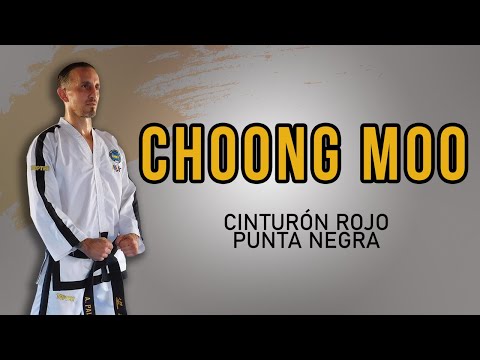 TAEKWONDO STUDIO and TAEKWONDO ATRA SUR