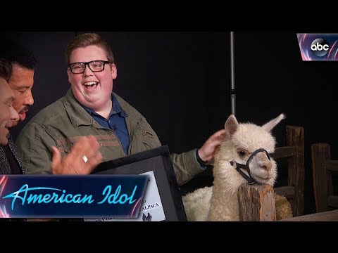 Noah Davis Gets His Alpaca on American Idol - Finale - American Idol 2018 on ABC