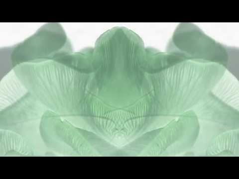 Juan & Domi & Jörg - Spiritual Healing (GoneWest Remix)