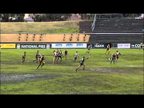 2011 TSL Round 12 Mark of the Day Shaun Collis