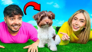 I gave YOLO a baby puppy as a gift *cried*