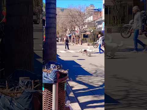 Villa Carlos Paz, Córdoba, Argentina. #villacarlospaz