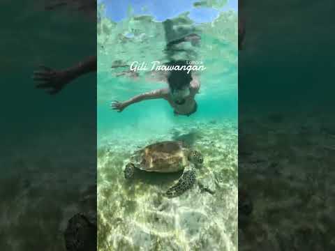 SNORKELING DI GILI T LOMBOK!! 🤿 BAGUS BANGETTTT #bali #lombok #trip #traveling #vlog
