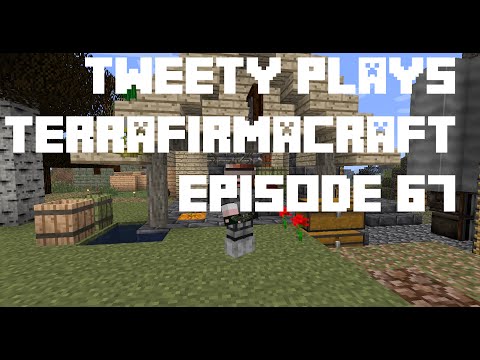 Tweety plays Terrafirmacraft ep 67 - Talkin Build 79