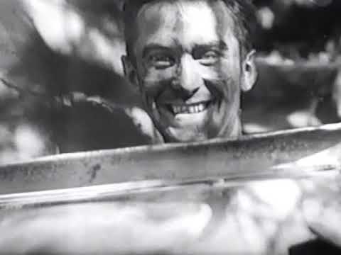 Der gescheiterte Blitzkrieg in Russland