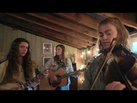 Wilder Flower Green Rm at Rare Bird Farm