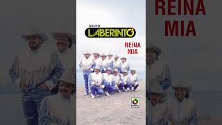 Grupo Laberinto - Reina Mía #grupolaberinto