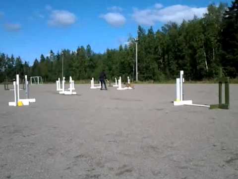 Tulevaisuuden lupaus