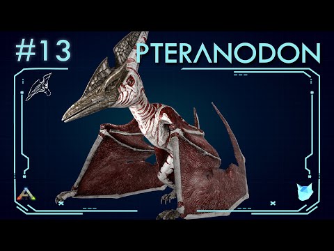 TODO SOBRE EL PTERANODON (#13) |  ARK: Survival Evolved | Dossiers La Isla |