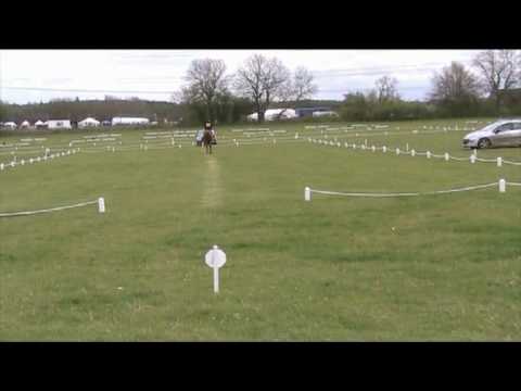 Harley - advanced dressage at Withington