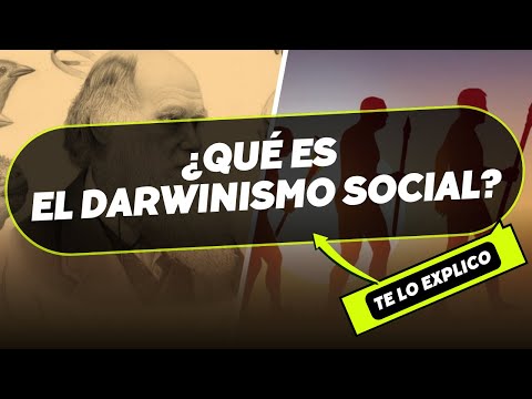 ¿QUE ES EL DARWINISMO SOCIAL? TEORIA DARWIN. en minutos