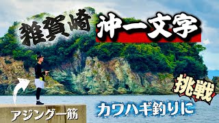 #81【波止】カワハギ釣りに挑戦！