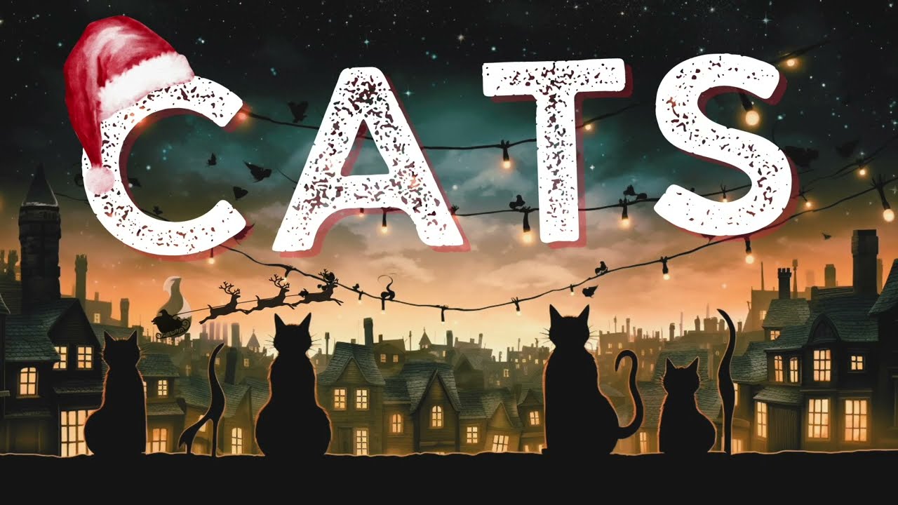 Cats
