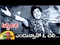 Old Movie Songs Aggi Dora Movie Songs Yendunnavo O Cheli Video Song Kanta Rao Mango Music