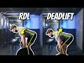 RDL vs Deadlift Difference In Form & Muscles Worked Demonstrated