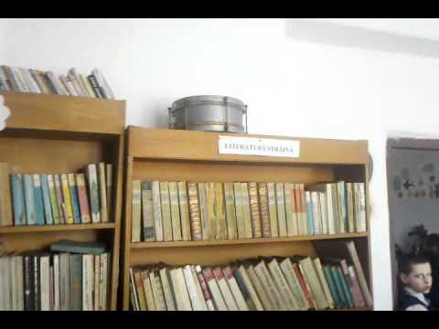 Biblionet Sinesti Valcea