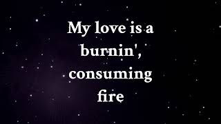 Skillet-Whispers In The Dark lyrics