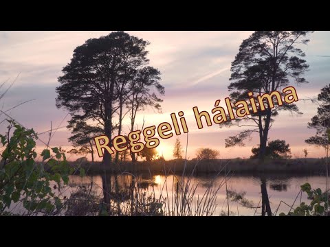 HÁLAIMA - Reggeli hálaima