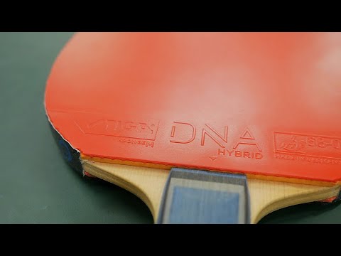 [TT] Stiga DNA Hybrid M