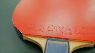 [TT] Stiga DNA Hybrid M