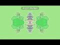 Tpot Intro In Confusing Mirror Tops