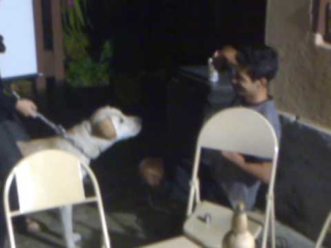 Cabelo x Madruguinha