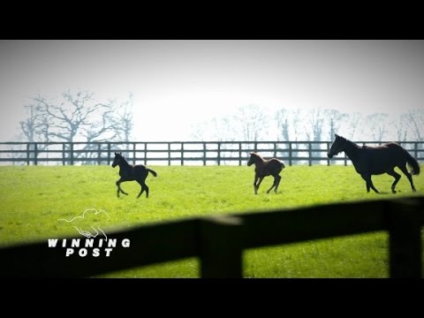 CNN Winning Post Dubai World Cup Trailer
