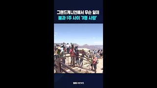 일주일 사이 등산객 3명 사망..'그랜드캐니언'에서 무슨 일이 / SBS / #shorts