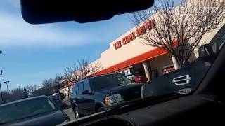 Searching for my Santa Rosa plum tree