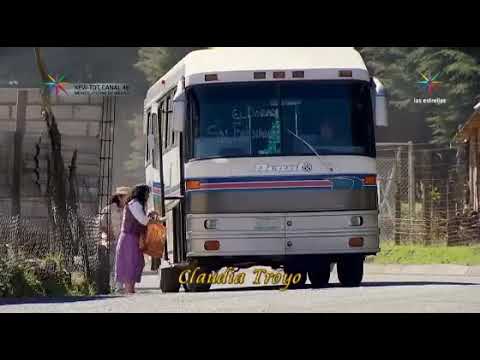 download lagu mp3 mp4 Al Que A Buen Arbol Se Arrima, download lagu Al Que A Buen Arbol Se Arrima gratis, unduh video klip Al Que A Buen Arbol Se Arrima