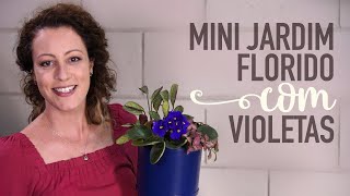 Miniatura do vídeo