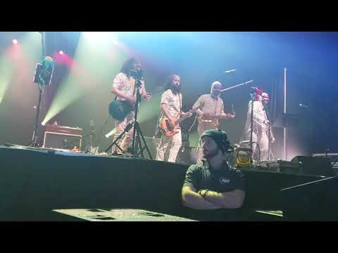 Pigeons Playing Ping Pong "Time-The Hop-F. U."  New Years Eve 12/31/19