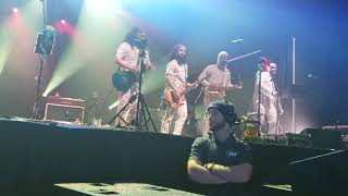 Pigeons Playing Ping Pong &quot;Time-The Hop-F. U.&quot;  New Years Eve 12/31/19