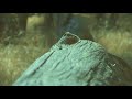 Grave in the Pines - Videography