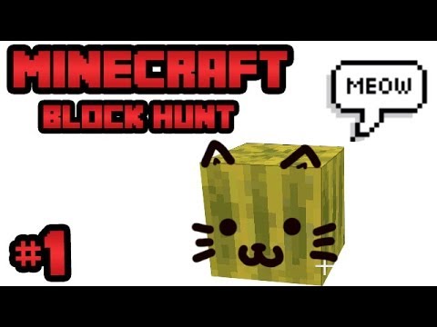 Meow :3 | BLOCK HUNT | Minecraft Mini-game