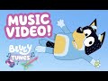 The Pool Music Video NEW Bluey Tunes Dance With Bluey Bluey