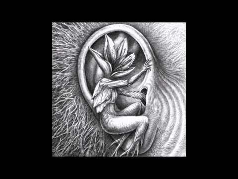 comment soigner un vriesea