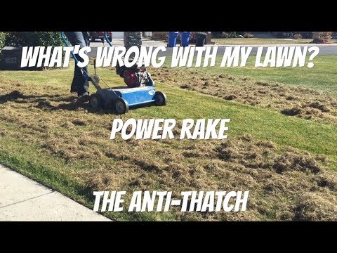 How to power rake or dethatch a lawn