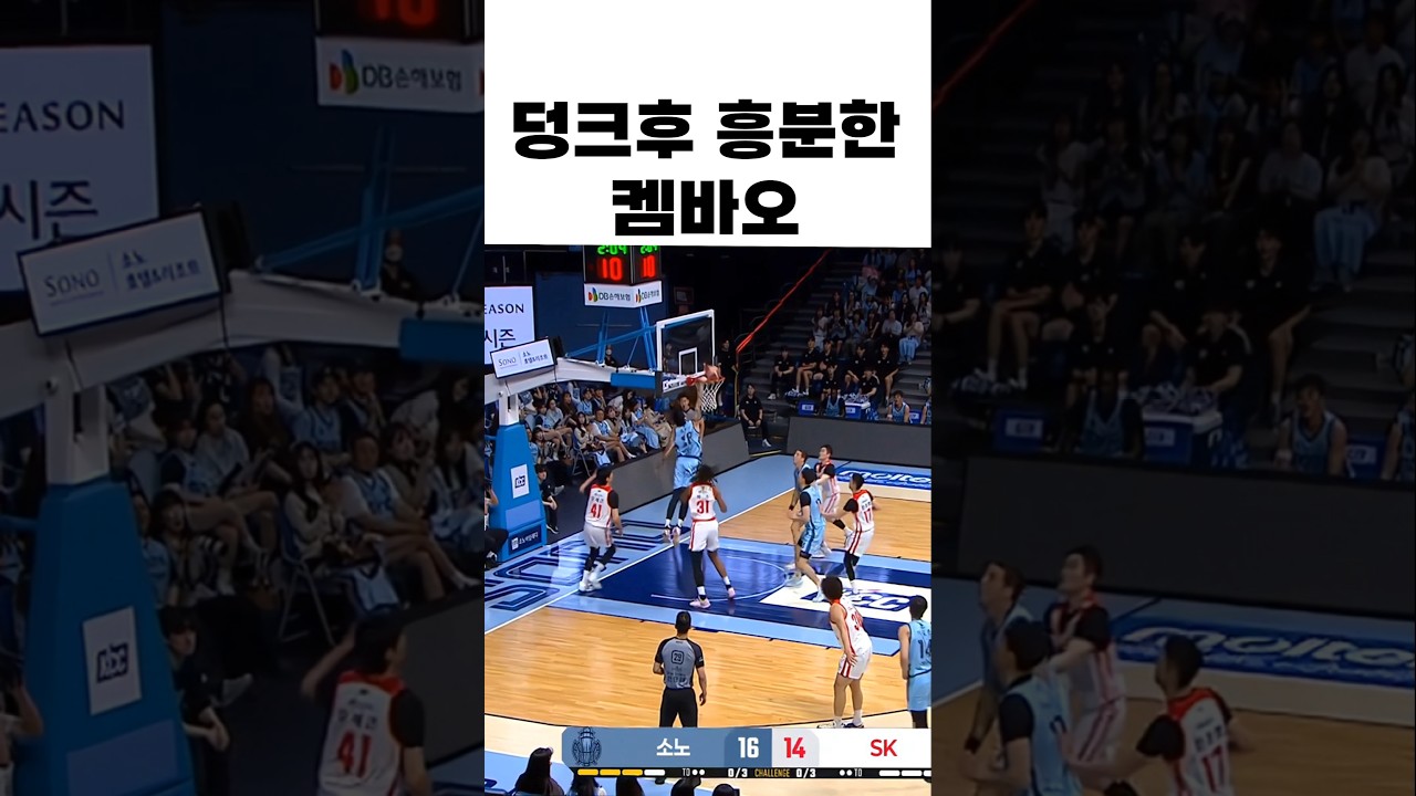 흥분한켐바오의 테크니컬파울
